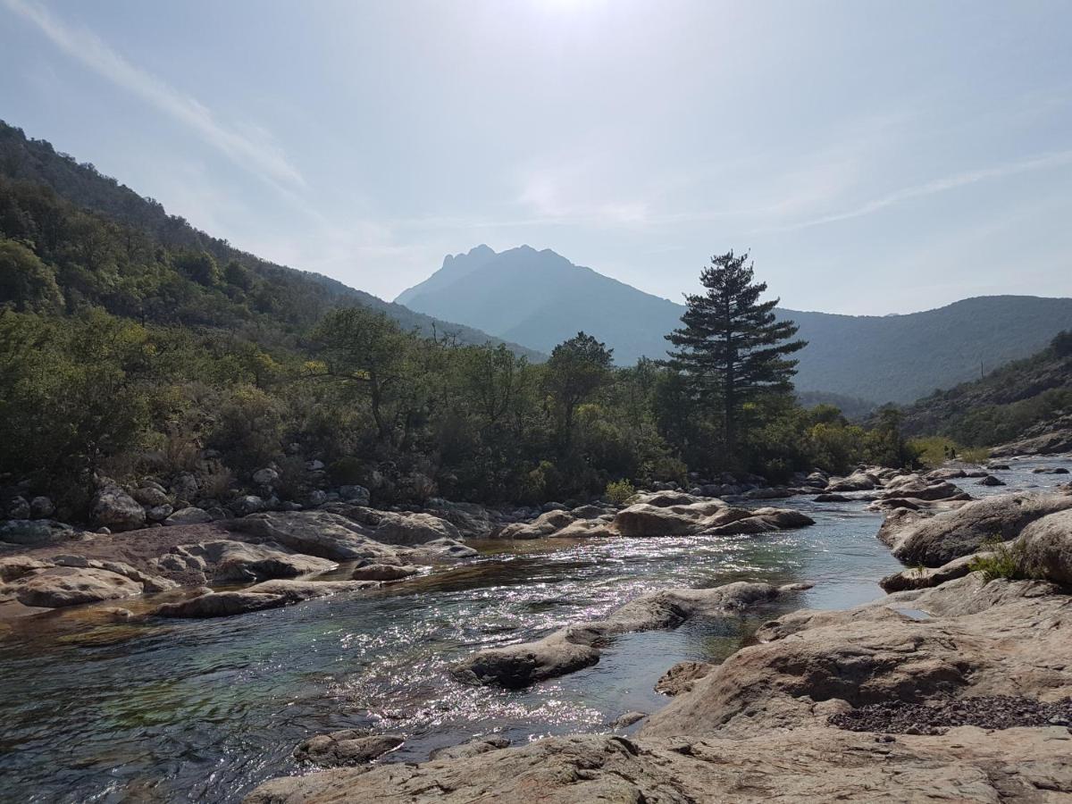 Villa Primavera Galeria  Εξωτερικό φωτογραφία